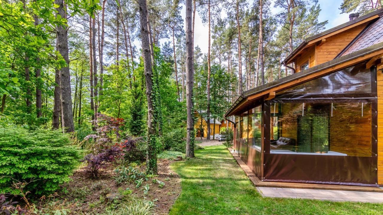 Lesna Oaza Apartment *