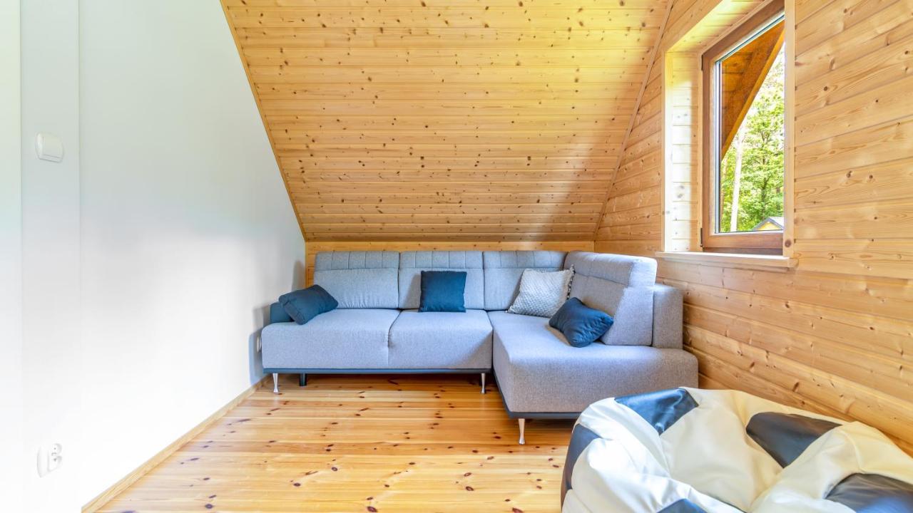 Apartment Lesna Oaza Ostroda